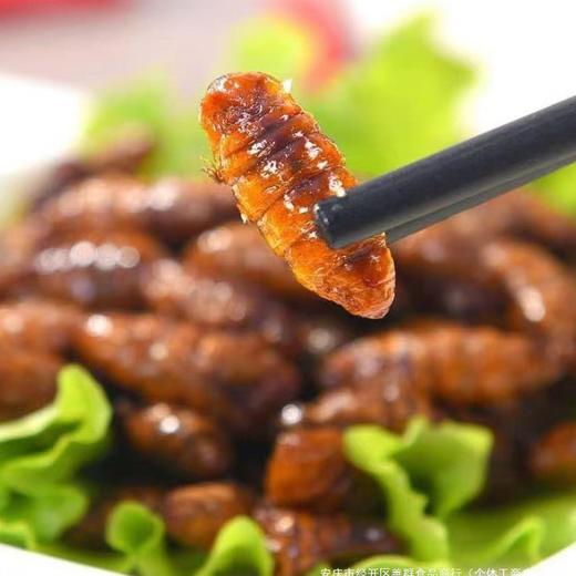 香酥蚕蛹山东特产开袋即食下酒菜麻辣五香新鲜茧蛹油炸熟食零食 商品图1