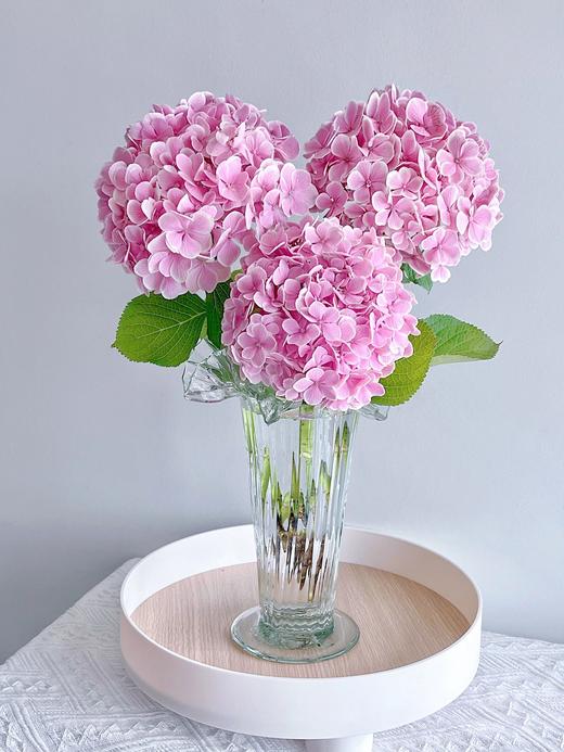 【混色绣球花】快递：顺丰冷链/中通/Ems，快递模版：新疆西藏内蒙古海南不发，甘肃、宁夏、青海不发黑龙江、辽宁、吉林+5元，乡镇不售后。 商品图6