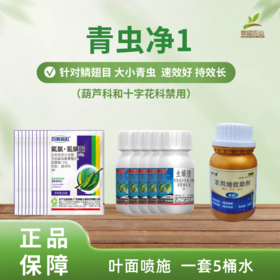 青虫净1