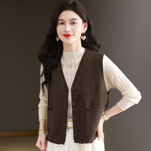 CC针织马甲女2025秋季新款时尚背心小坎肩宽松外穿气质文艺开衫上衣 商品图1