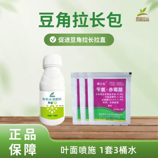 豆角拉长包 商品图0