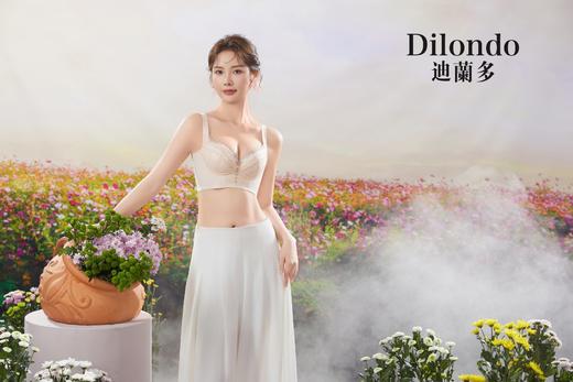 迪兰多调整型文胸云感棉中薄杯刺绣蕾丝2118463B 商品图1