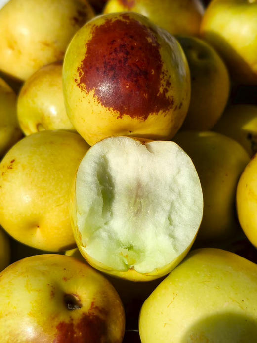 正宗A级大荔冬枣丨酥脆堪比薯片 甜蜜追赶冰糖 正宗陕西大荔冬枣 2斤/箱 商品图0