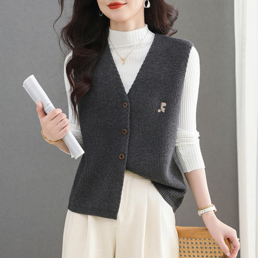 CC女士针织马甲外搭2025秋季新款坎肩叠穿洋气时髦无袖毛衣开衫背心 商品图0