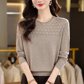 CC秋装圆领女士针织衫春秋新款长袖宽松显瘦毛衣上衣薄款内搭打底衫