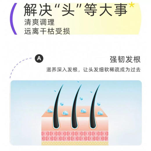 【沙龙级洗发】资生堂进口芯护理道系列洗发水 头皮生机/芳芬去屑/轻盈丝逸/水活修护洗发水无硅油养护蓬松清洁250ml/500ml/1000ml 商品图2