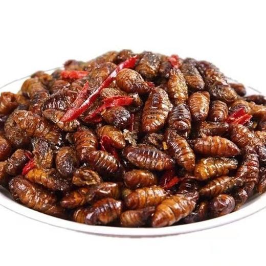 香酥蚕蛹山东特产开袋即食下酒菜麻辣五香新鲜茧蛹油炸熟食零食 商品图4