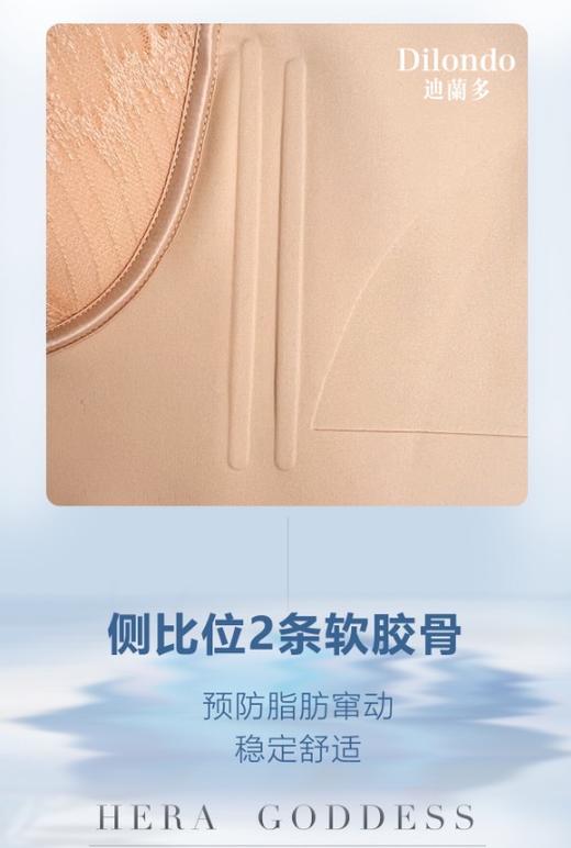 迪兰多调整型文胸云感棉中薄杯刺绣蕾丝2118463B 商品图8