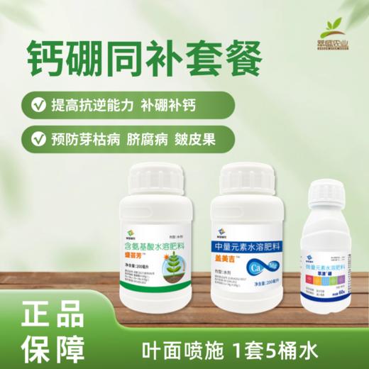 新钙硼同补套餐 商品图0