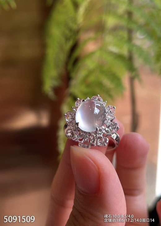 5091509，蛋面戒指。具体价格微信咨询 商品图1