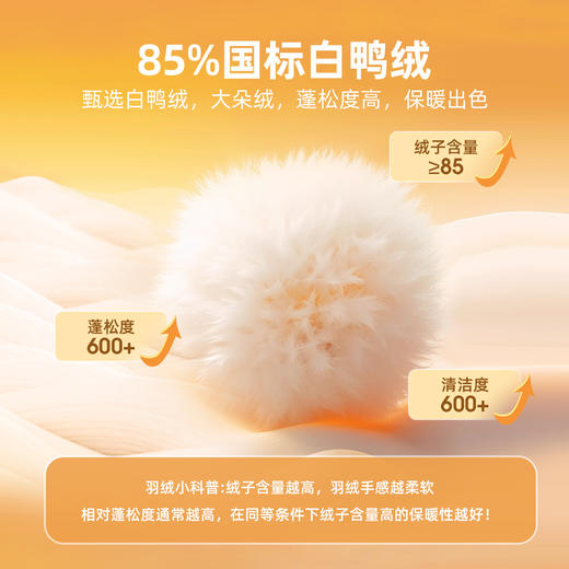 嘟嘟家宝宝连帽羽绒服儿童外套女童冬装男童厚款上衣冬季保暖衣服 商品图3