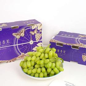 梦境香妃青提 新疆葡萄 脆甜多汁 澳洲品种×新疆种植