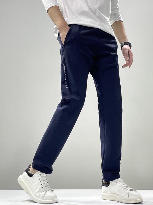 点此购买 迪桑特男士春季梭织运动散口长裤 37 330301 商品图5