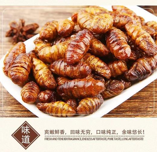 香酥蚕蛹山东特产开袋即食下酒菜麻辣五香新鲜茧蛹油炸熟食零食 商品图5
