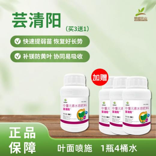 芸清阳 商品图0