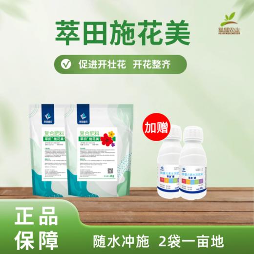 萃田施花美 商品图0