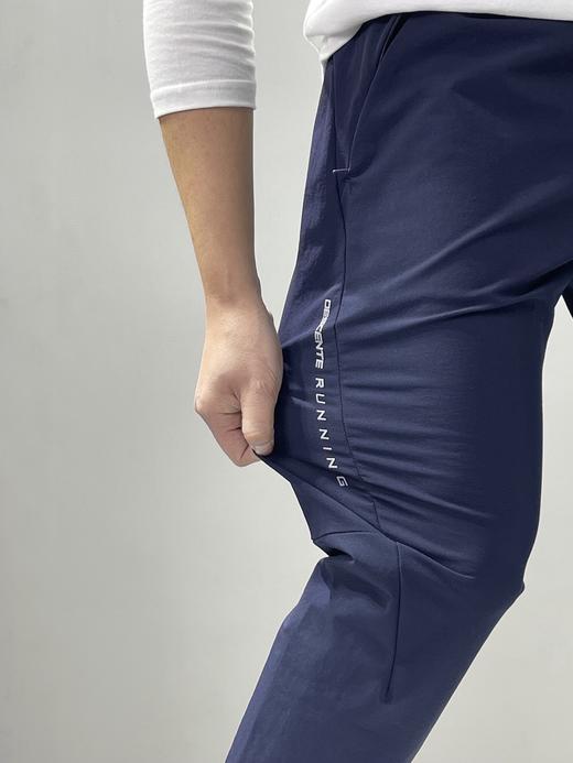 点此购买 迪桑特男士春季梭织运动散口长裤 37 330301 商品图10