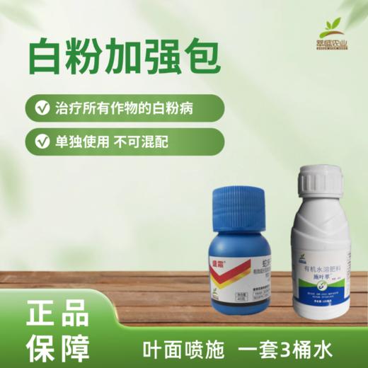 白粉加强包 商品图0