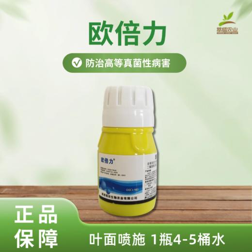 欧倍力 商品图0