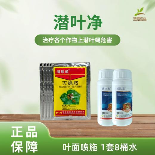 潜叶净 商品图0