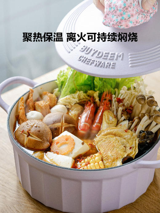 北鼎珐琅锅铸铁煲汤家用焖炖锅多功能砂锅进口平底锅具煮锅 CP521 商品图1