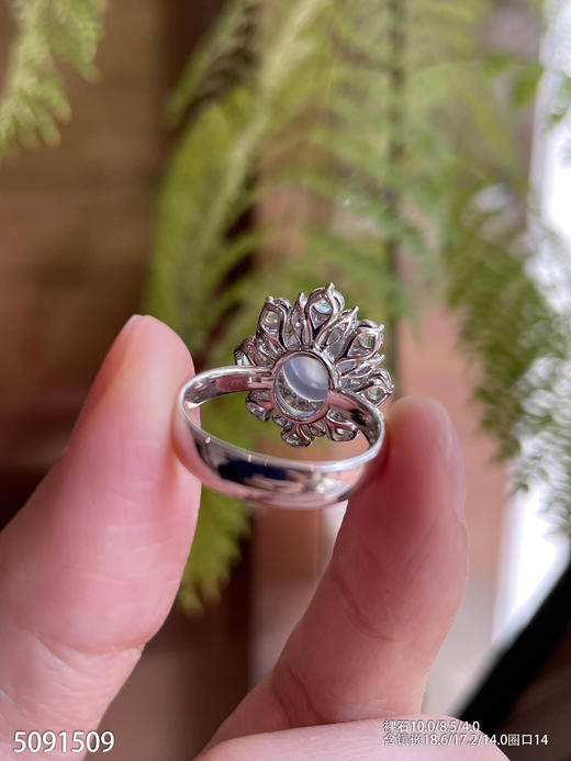 5091509，蛋面戒指。具体价格微信咨询 商品图5