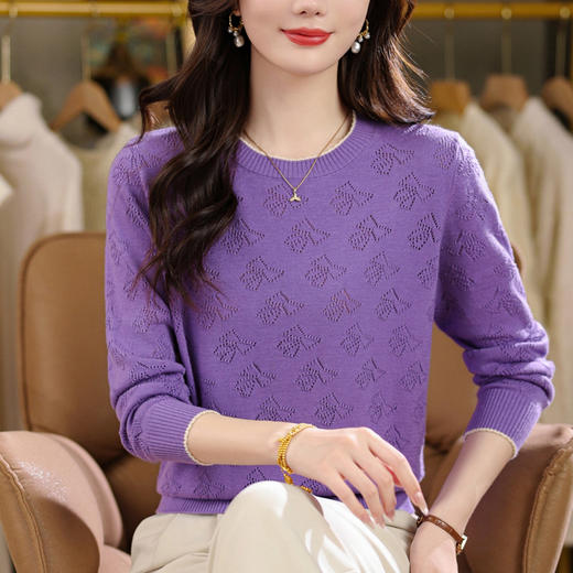 CC2025年新款春秋装圆领薄款针织衫女简约气质长袖内搭宽松打底衫女 商品图1