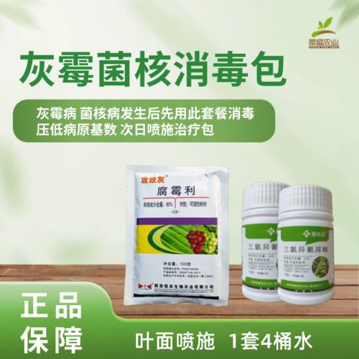 灰霉菌核消毒包 商品图0