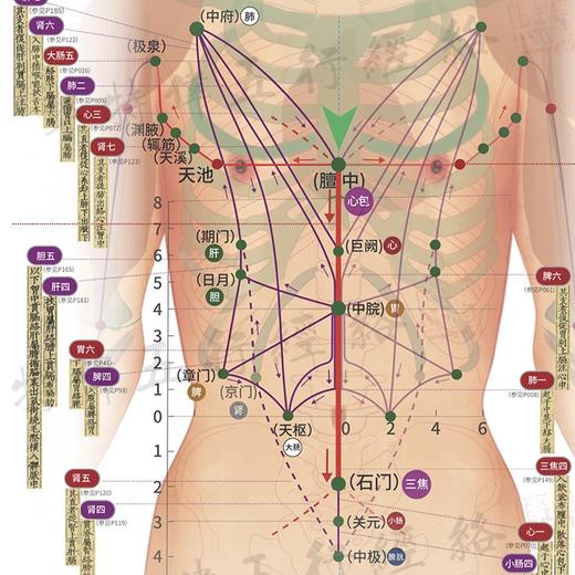 《黄帝内经》十二经络图谱（2025升级版），邓特伟医师编绘，线装书局。谨遵宋版《黄帝内经灵枢》，原创精绘200多幅高清经络图，360余腧穴，精准细致，纤毫毕现。献礼邓特伟五行经络连续直播1600天。 商品图5