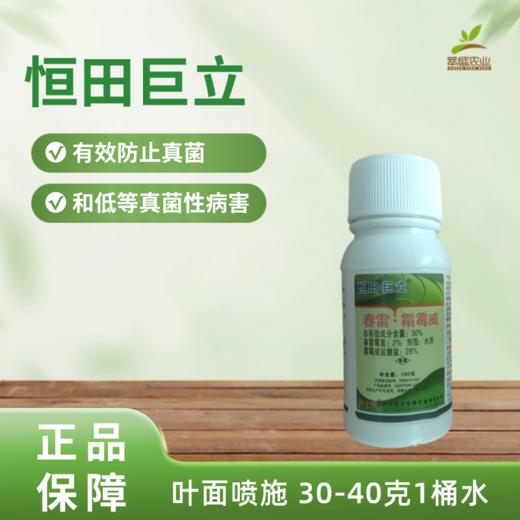 恒田巨立 100克 商品图0