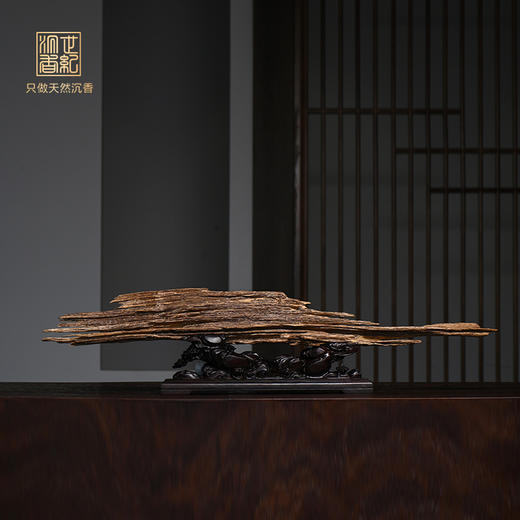 天然达拉干沉香原材摆件 480克 SP12013 商品图0