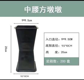 中腰方墩墩（200个）