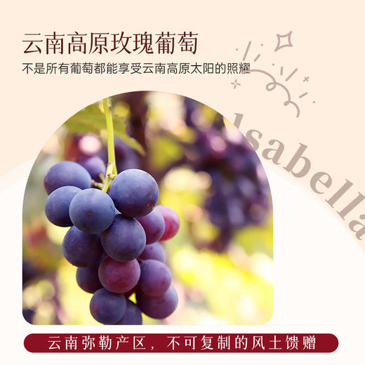 云南红酒庄鲜酒玫瑰蜜甜红葡萄酒3度/5度/8度750ml弥勒酒庄 商品图4