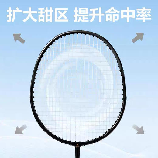 安格耐特F2149羽毛球拍 商品图1