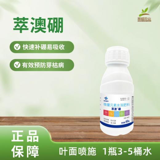 萃澳硼 商品图0