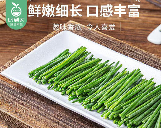 宁夏高原新鲜沙葱（200g±10g/份） 商品图2