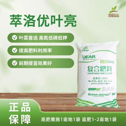 萃洛优叶亮 商品图0