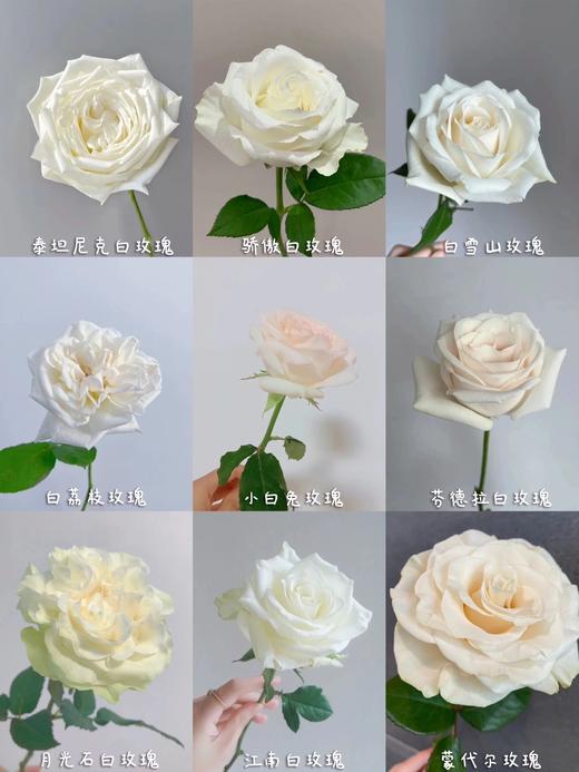 云南鲜花直发玫瑰50枝（40枝+10枝防损）大于3色系单支0.6元顺丰包邮到家 商品图4