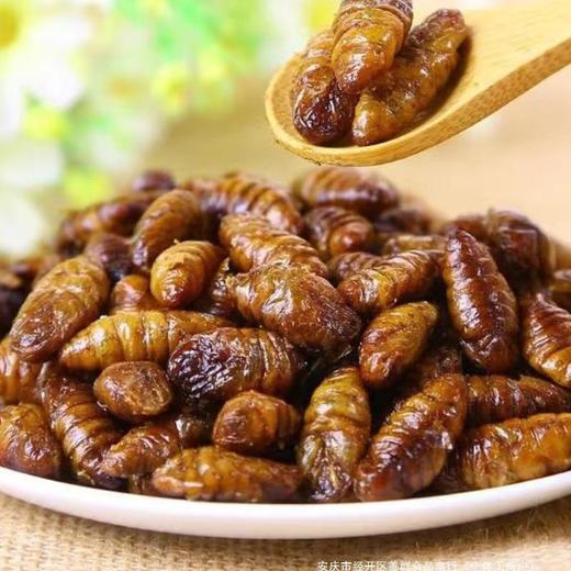 香酥蚕蛹山东特产开袋即食下酒菜麻辣五香新鲜茧蛹油炸熟食零食 商品图3