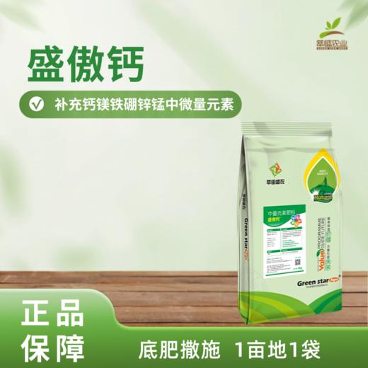 盛傲钙 商品图0