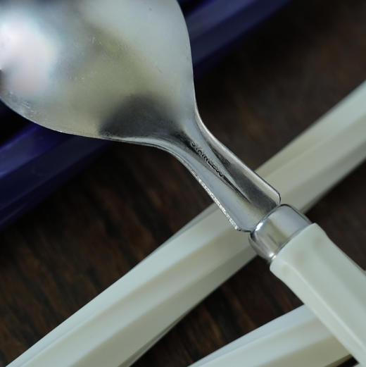 法国Marie Claire中古亚克力不锈钢餐勺 多色入 商品图2