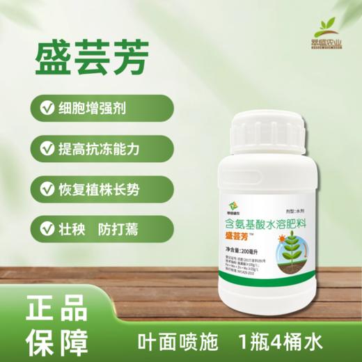 盛芸芳 商品图0