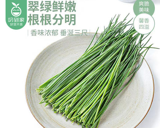 宁夏高原新鲜沙葱（200g±10g/份） 商品图3