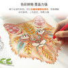得力六角杆水溶性彩铅7071 商品缩略图6