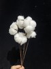 同城甄选小众花材棉花家居软装插花工艺用品 商品缩略图1