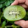 【何猕生态猕猴桃】来自秦岭主峰太白山的美味 巨多汁的绿心猕猴桃！果香浓郁 香甜多汁 易放软不易放坏 商品缩略图0