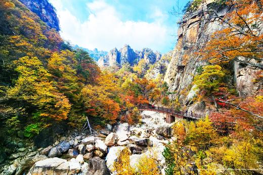 探秘韩境，红叶人文摄影之旅：内藏山、雪岳山、智异山三大红叶圣地8天 商品图8