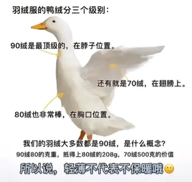 【科普】羽绒服选购指南| 告别踩坑，温暖过冬！