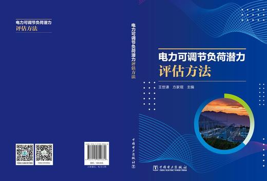 电力可调节负荷潜力评估方法 商品图2