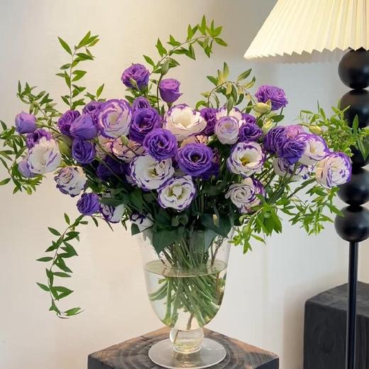 【风中有朵雨做的云】深紫色洋桔梗12-15朵+紫边洋桔梗12-15朵+九星叶4-5支或雪柳叶4-5支/份 商品图0